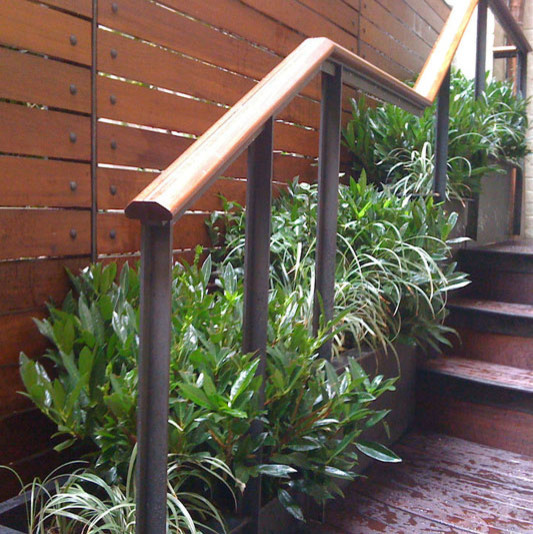Inspiration for a contemporary backyard deck container garden remodel in New York