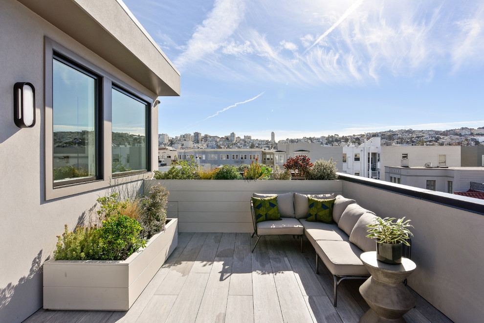Immagine di una terrazza minimal sul tetto e sul tetto con un giardino in vaso e nessuna copertura