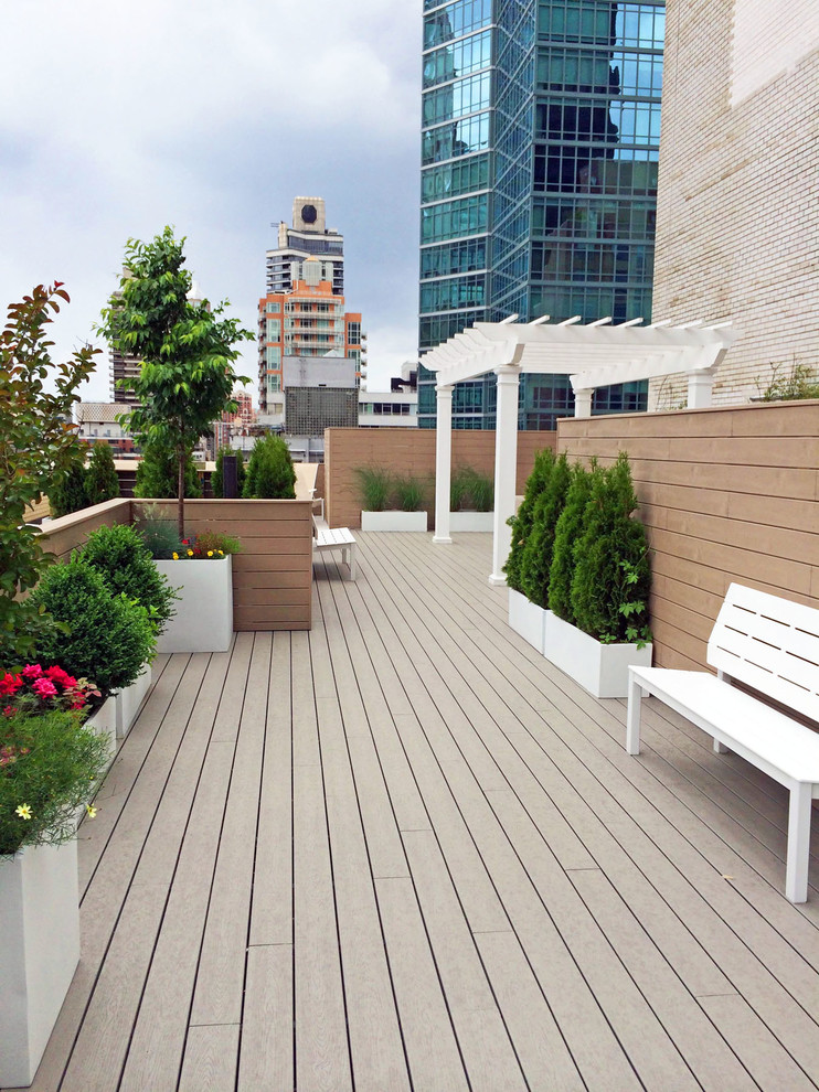 Inspiration for a contemporary roof terrace in New York with a potted garden and a pergola.