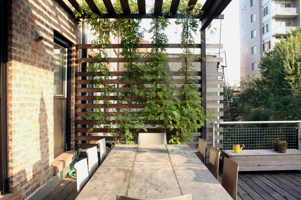 Immagine di una terrazza minimalista di medie dimensioni e sul tetto con un giardino in vaso e una pergola