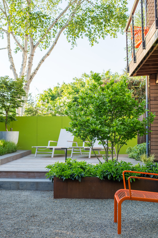 Ispirazione per una piccola terrazza contemporanea dietro casa con un giardino in vaso e nessuna copertura