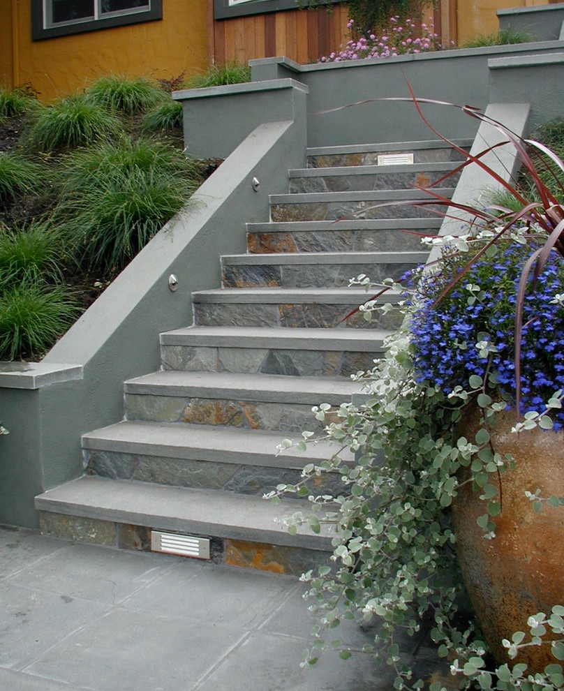 Photo of a contemporary terrace in San Francisco.