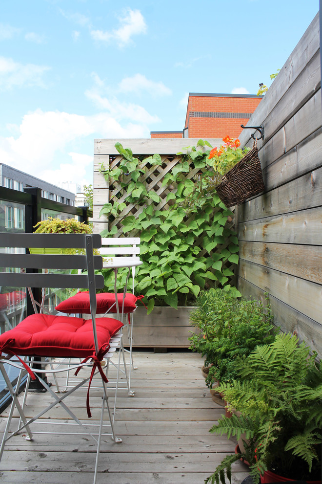 Mittelgroße, Unbedeckte Moderne Terrasse neben dem Haus mit Pflanzwand in Montreal