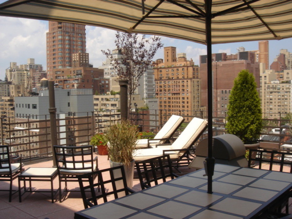 Inspiration for a medium sized contemporary roof terrace in New York with no cover.