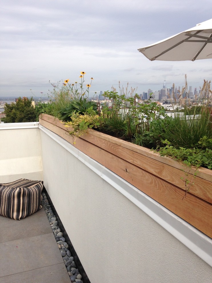 Large contemporary roof terrace in New York with a potted garden and no cover.
