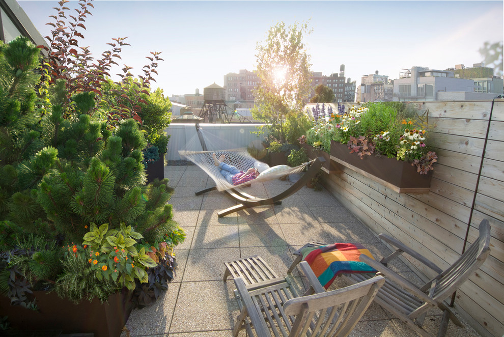 Ejemplo de terraza actual de tamaño medio sin cubierta en azotea con jardín de macetas