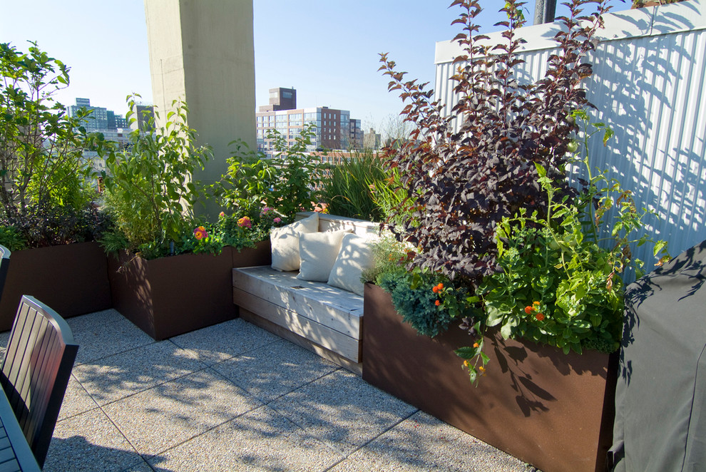 Design ideas for a medium sized contemporary roof terrace in New York with a potted garden.