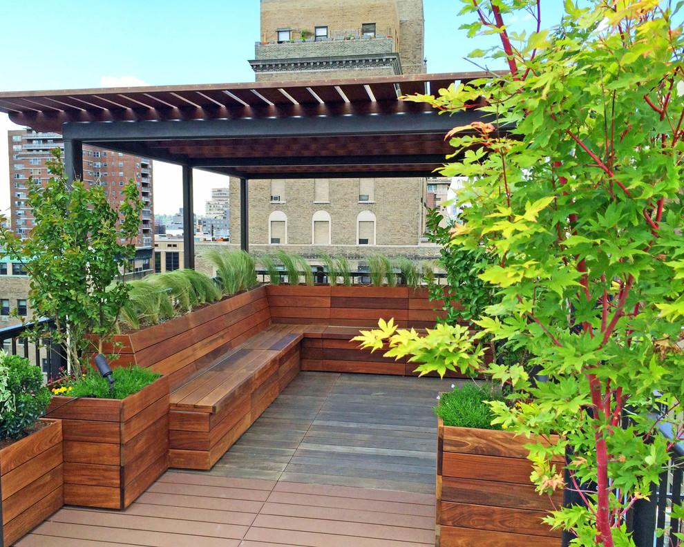 Imagen de terraza actual en azotea con jardín de macetas y pérgola