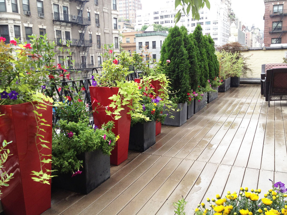 Example of a trendy rooftop deck container garden design in New York