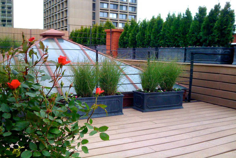 Immagine di una terrazza minimal sul tetto con un giardino in vaso