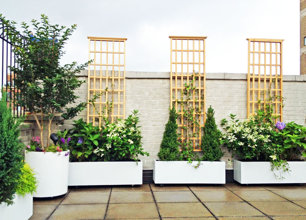 Contemporary roof terrace in New York with a potted garden.
