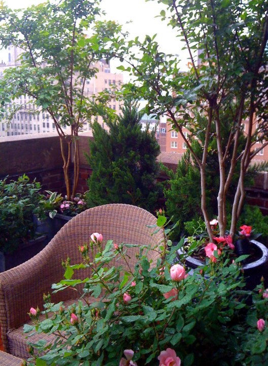Example of an eclectic rooftop deck container garden design in New York