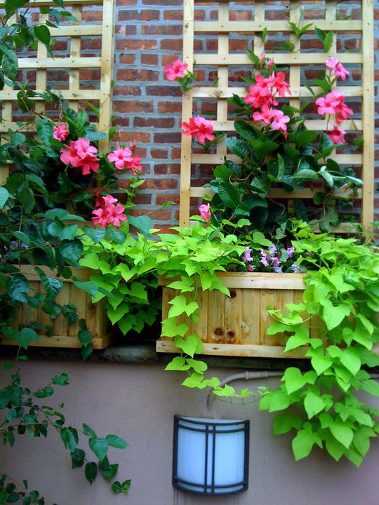 This is an example of a classic roof terrace in New York with a potted garden.