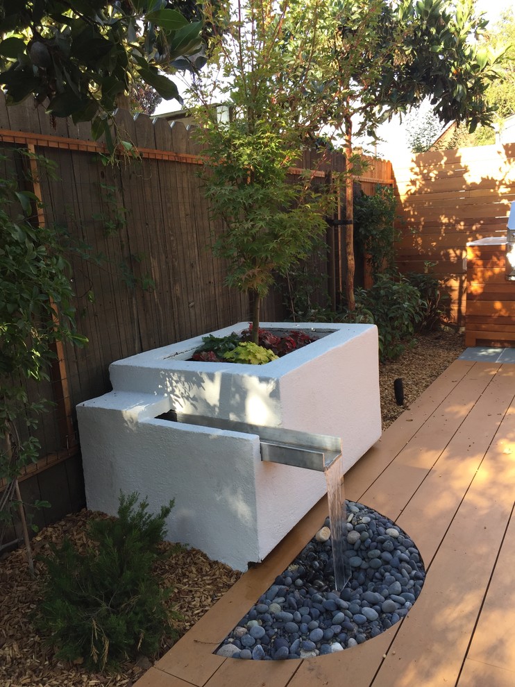 This is an example of a medium sized contemporary back terrace in San Francisco with an outdoor kitchen and no cover.