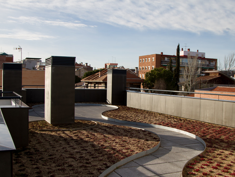 Foto de terraza moderna sin cubierta en azotea con jardín de macetas