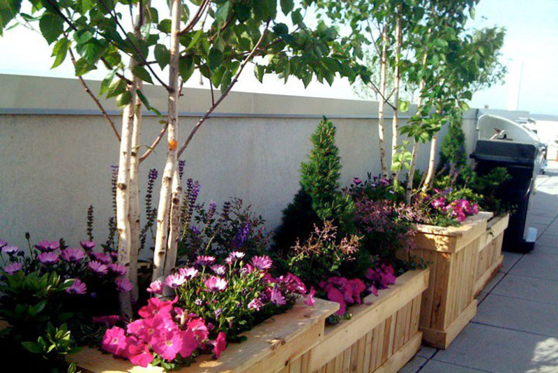Park Slope, Brooklyn, NYC Rooftop Garden Terrace, Planter Boxes