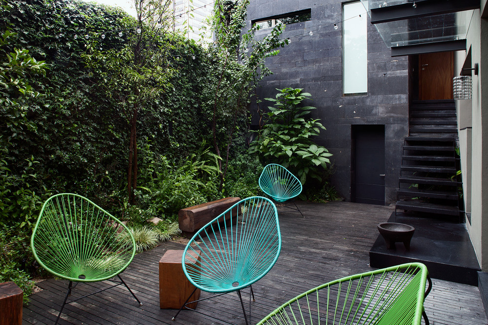 This is an example of a contemporary terrace in Mexico City with a living wall.