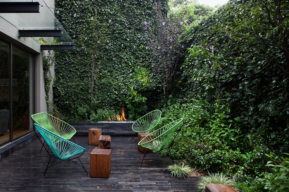 Inspiration for a small contemporary terrace in Mexico City with a living wall.