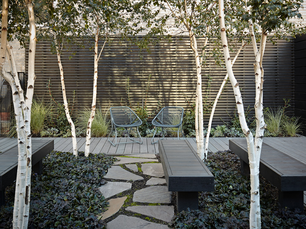 Idee per una terrazza design di medie dimensioni con un giardino in vaso