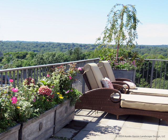Planter & Container Garden Design Fairfield County, CT Traditional