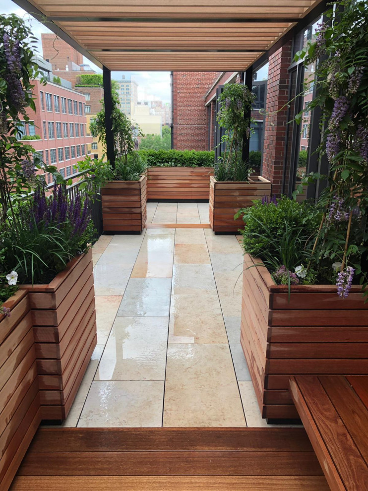 Kleine Moderne Pergola Terrasse mit Kübelpflanzen in New York