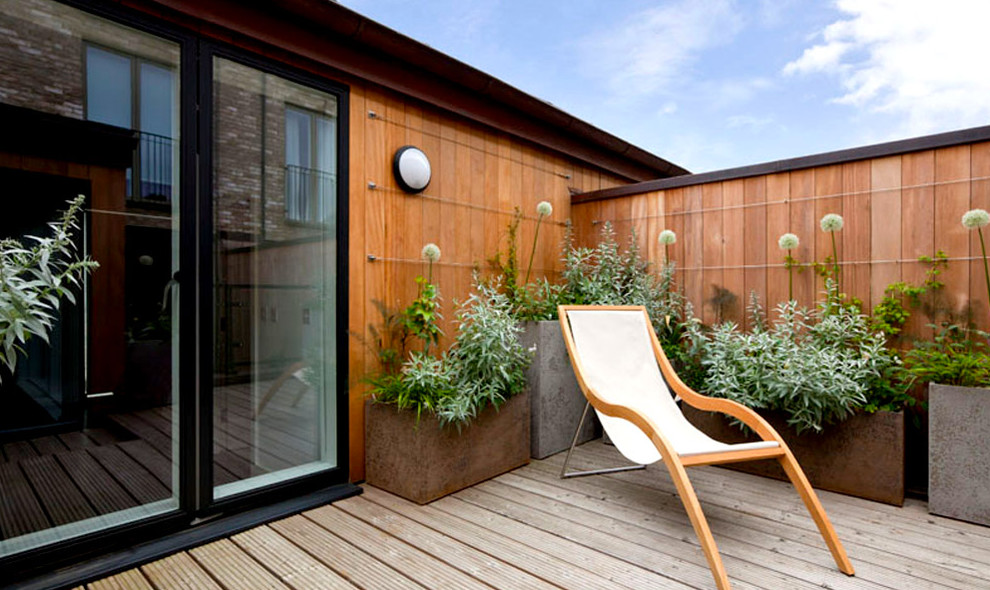 На фото: маленькая терраса на заднем дворе в современном стиле с растениями в контейнерах без защиты от солнца для на участке и в саду с