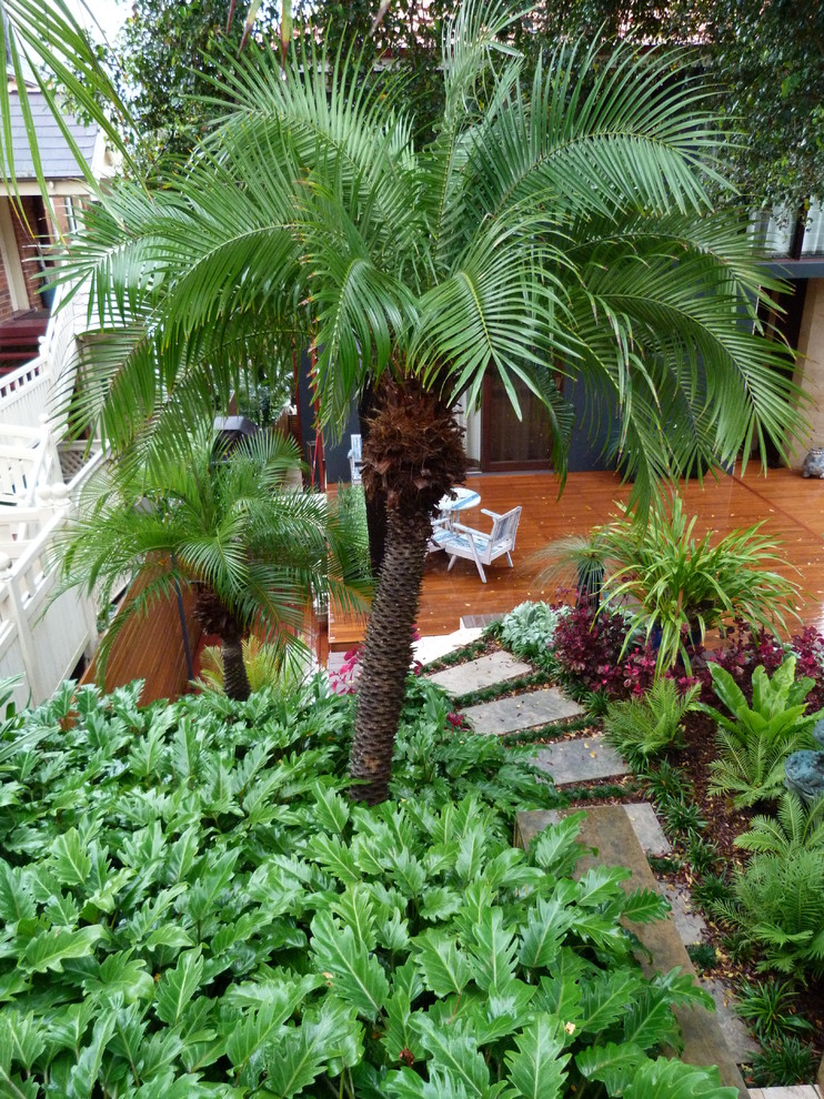 Foto di una grande terrazza tropicale dietro casa con nessuna copertura