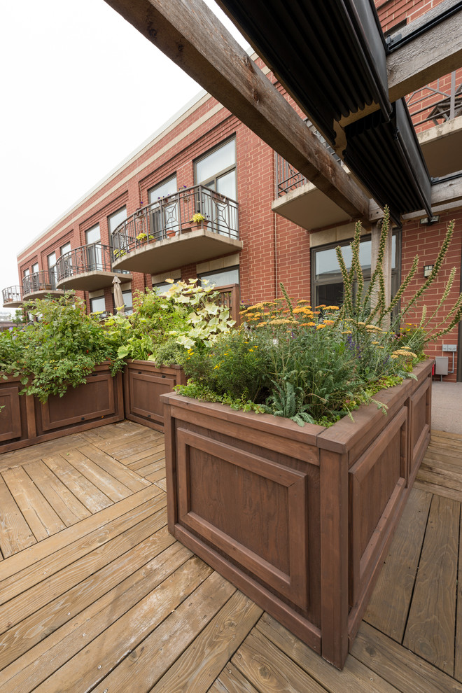 Large classic back terrace in Chicago with a potted garden and no cover.
