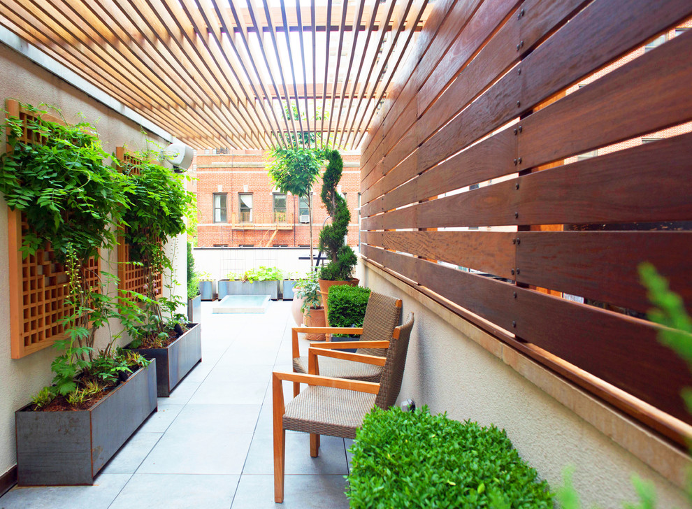 Inspiration for a medium sized contemporary roof rooftop terrace in New York with a potted garden and a pergola.