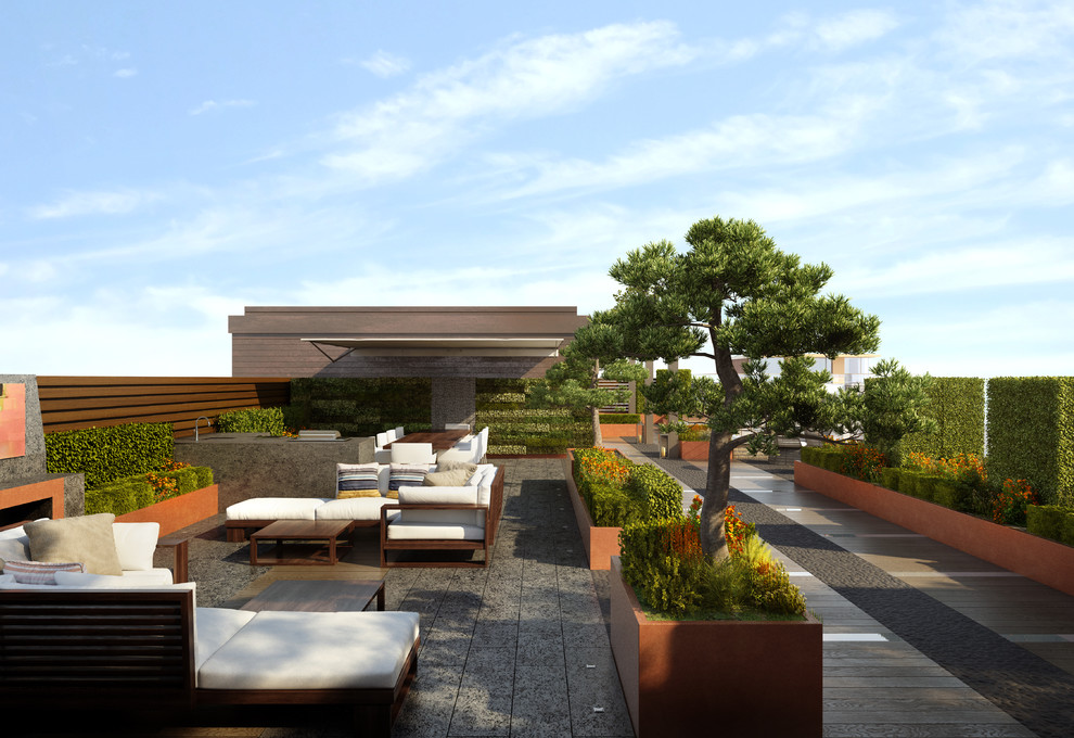 Modelo de terraza contemporánea pequeña en azotea con jardín vertical
