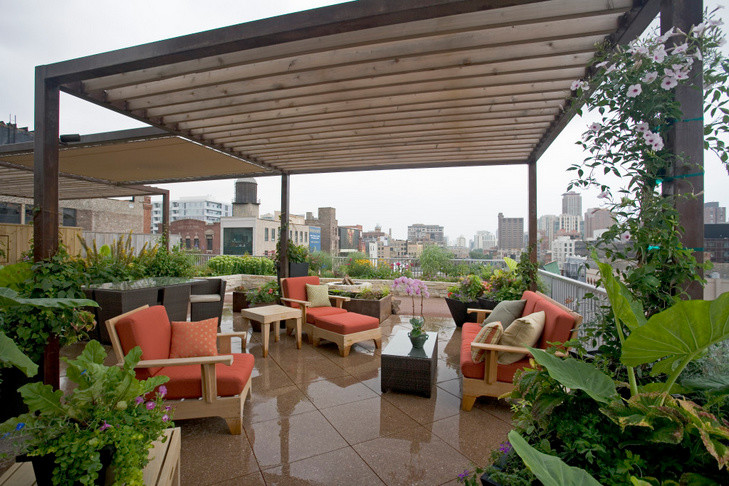 Esempio di una terrazza design di medie dimensioni e sul tetto con un giardino in vaso e un parasole
