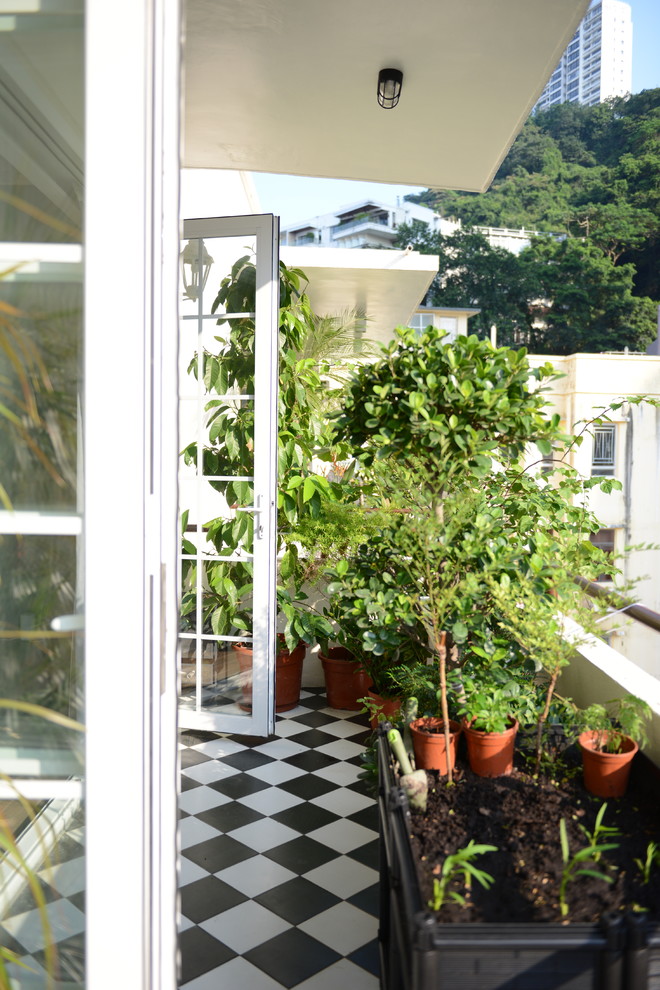 Inspiration pour une terrasse avec des plantes en pots design avec une extension de toiture.