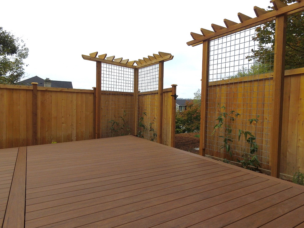 Exemple d'un mur végétal de terrasse arrière tendance de taille moyenne avec aucune couverture.