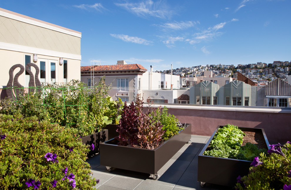 Foto di una terrazza design sul tetto e sul tetto