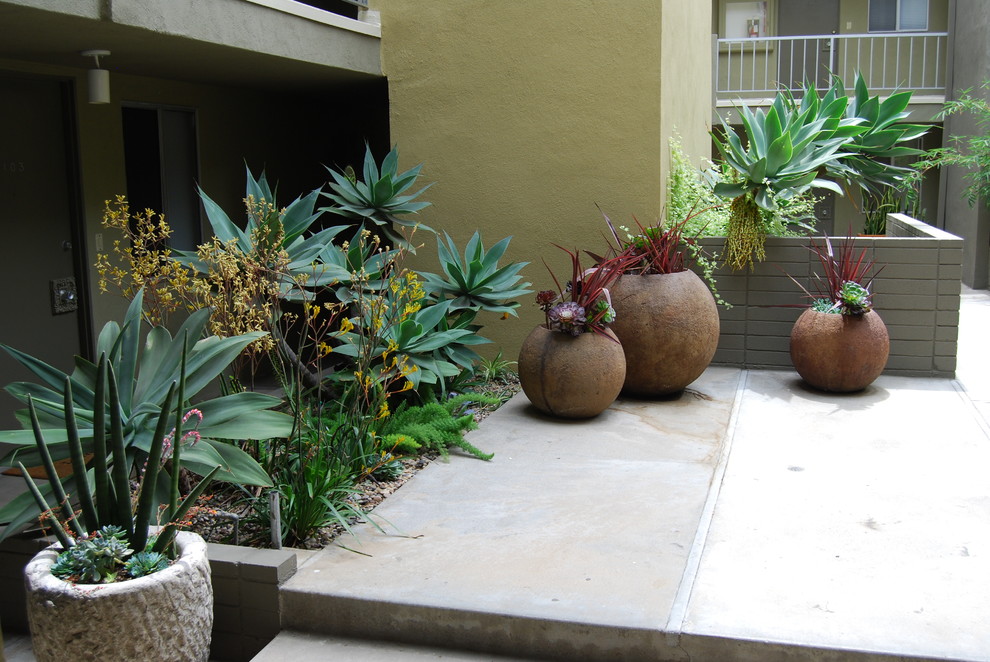 Example of an asian deck design in Los Angeles