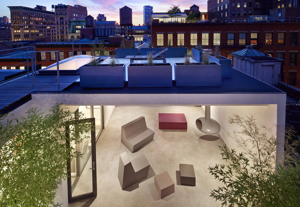 Photo of a medium sized modern roof terrace in New York with a potted garden and a roof extension.