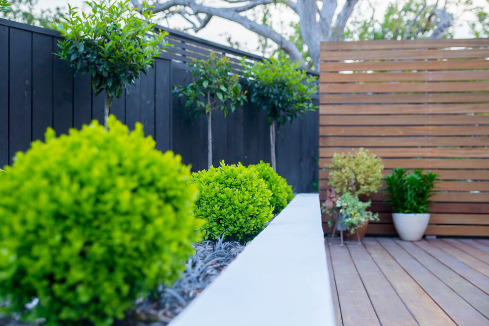 Inspiration for a medium sized contemporary back terrace in Christchurch with no cover.