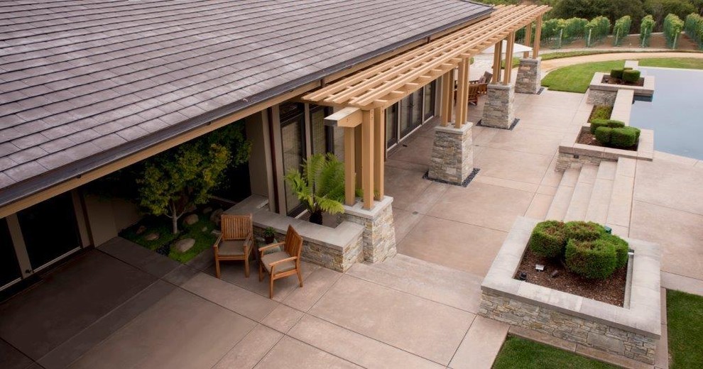 Inspiration pour une terrasse arrière minimaliste avec une extension de toiture.