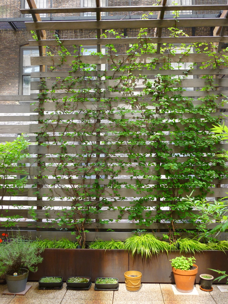 Photo of a large modern roof terrace in New York with a living wall.