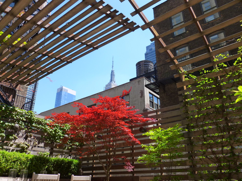 Große Moderne Dachterrasse mit Pflanzwand in New York