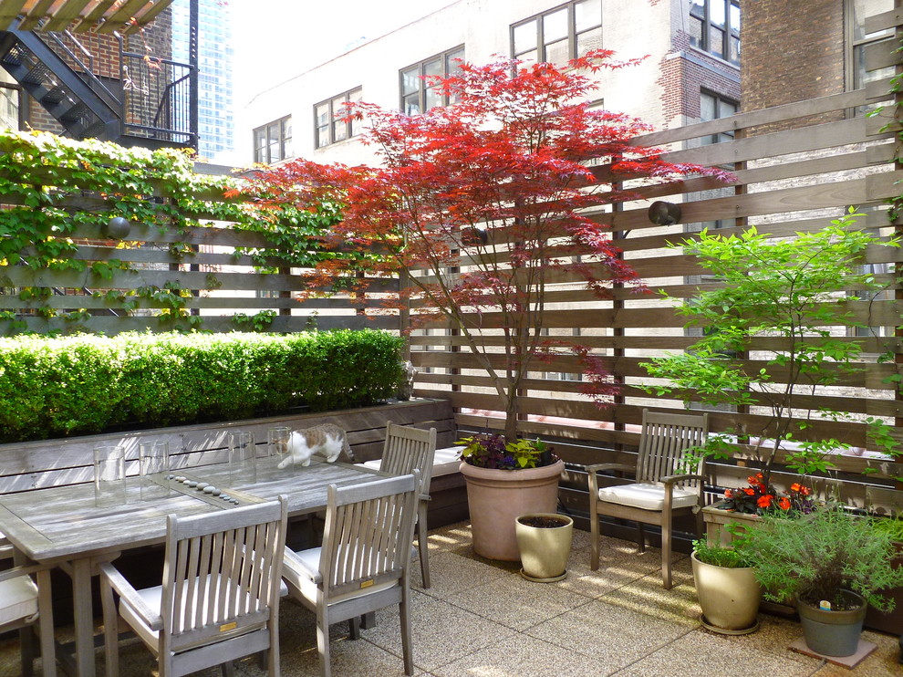 Inspiration for a large modern roof terrace in New York with a living wall.