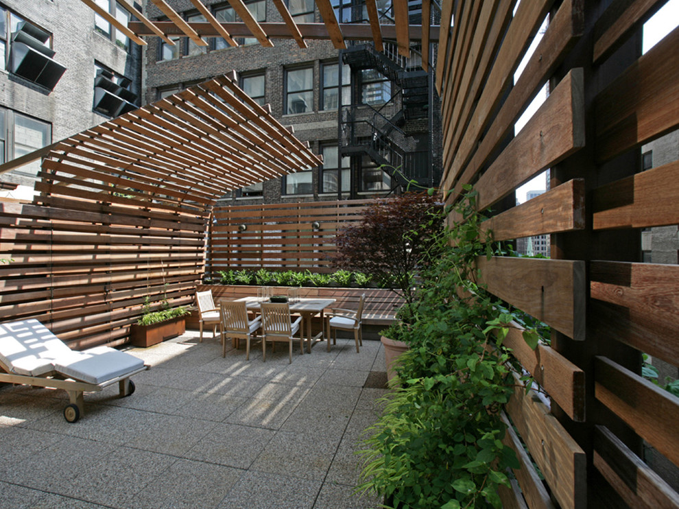Inspiration för en stor funkis takterrass, med en vertikal trädgård