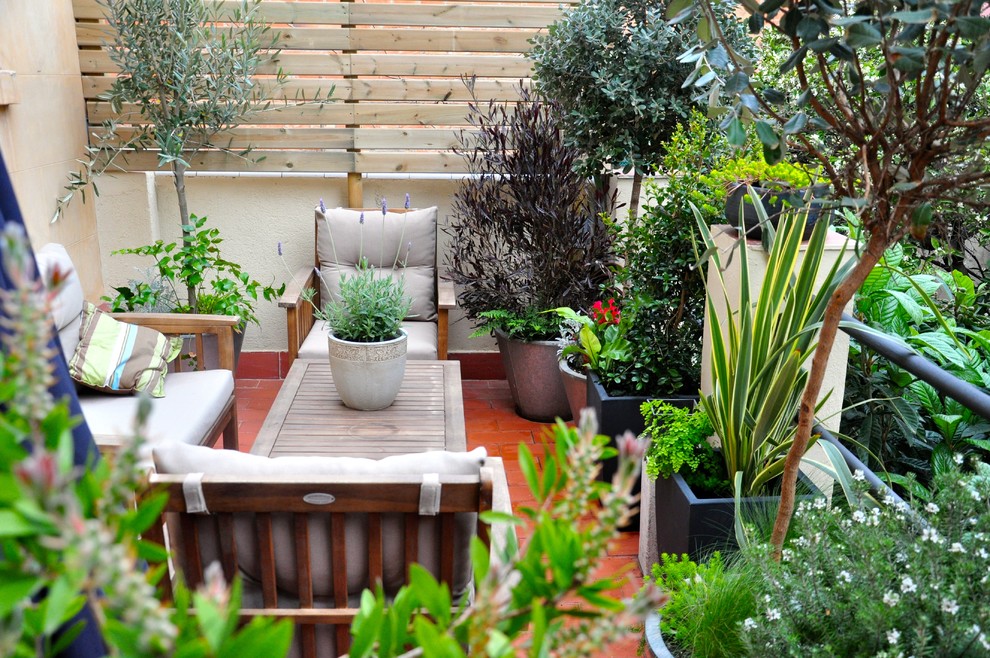 Diseño de terraza ecléctica de tamaño medio en azotea con jardín de macetas