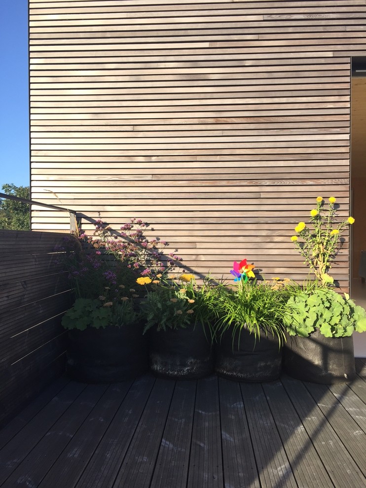 Terrasse 30m2 - Bruxelles - Plein Sud - Contemporary ...