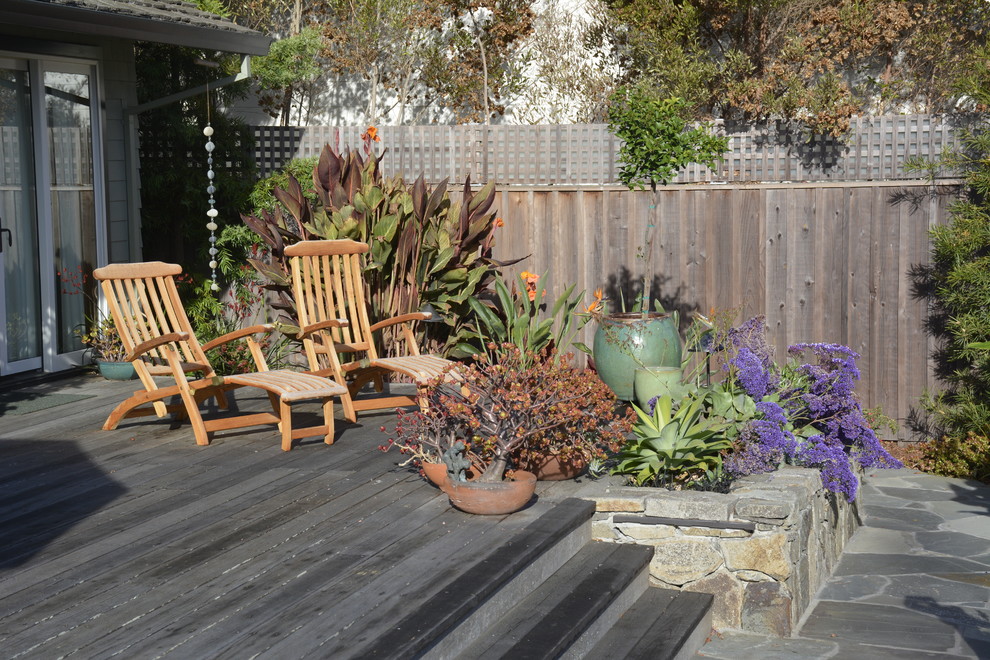 Immagine di una terrazza stile americano di medie dimensioni e dietro casa con un giardino in vaso e nessuna copertura