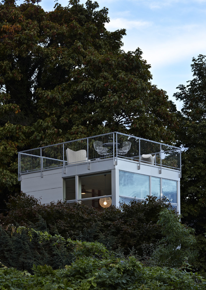 Immagine di una terrazza minimalista sul tetto e sul tetto