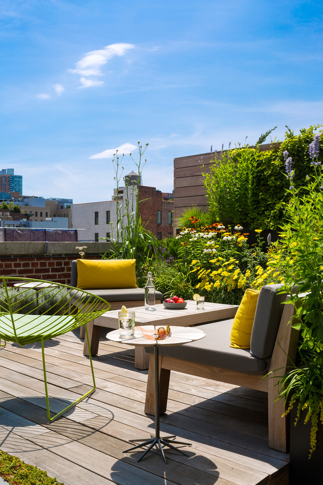 Inspiration for a contemporary roof rooftop terrace in New York with no cover.