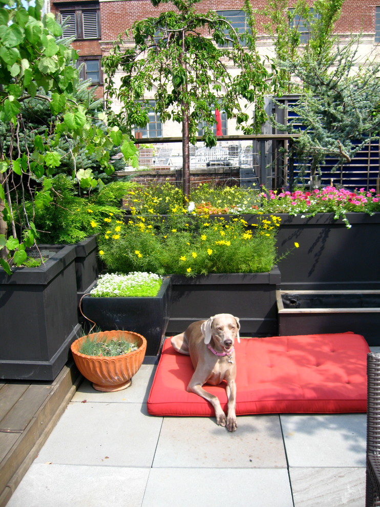 Deck - contemporary deck idea in New York