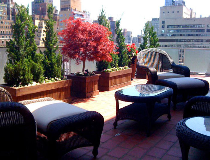 Foto di una terrazza minimal sul tetto con un giardino in vaso