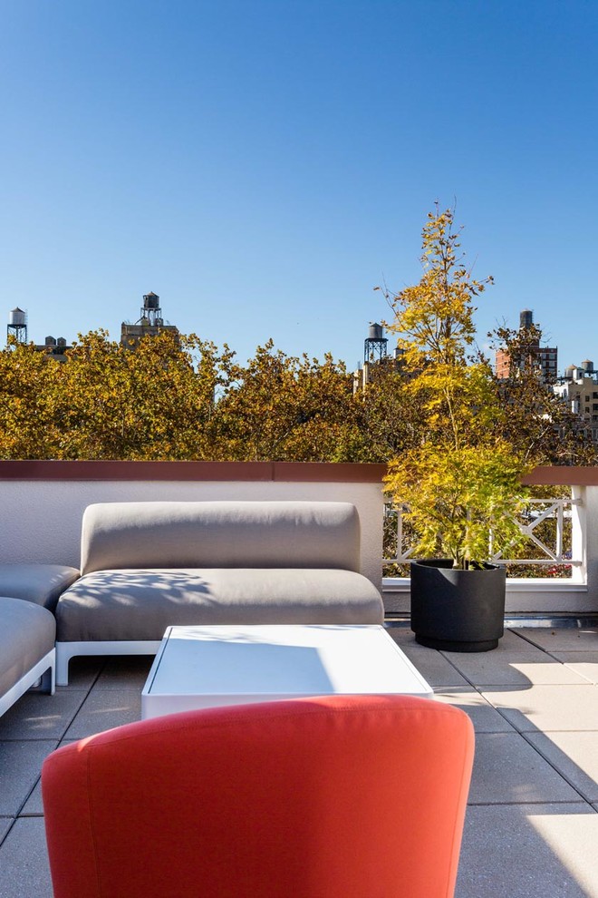 Design ideas for a medium sized modern roof terrace in New York with no cover.